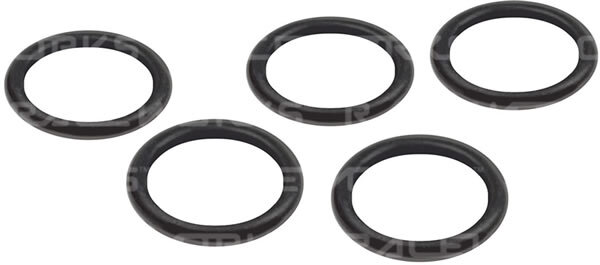 5 O-Ring In Viton 2-129/V7 – Guarnizioni 1-9/16 X 1-3/4 X 3/16 – Industriali