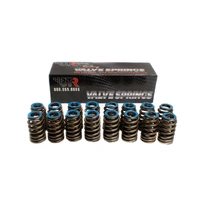 BTR .550" LIFT GEN V LT BEEHIVE VALVE SPRING SET - LIKE 12691120 - BTR91120-16