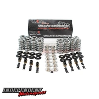 BTR LS Camshaft And Spring Free Ti Retainer deal - Independent Motorsports - BTRCAMANDSPRINGDEAL