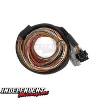 Nexus IO16 Universal Wire-in Harness 2.6m (8.5') Haltech HT-180000