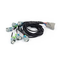 LS EV6 Injector Sub-Harness Nexus Rebel LS - Haltech