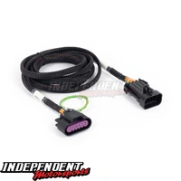 Adaptor Harness Rebel LS To Corvette Pedal Haltech HT-186507