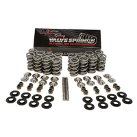 BTR .650" ULTIMATE RPM SPRING KIT WITH TITANIUM RETAINERS - SK703