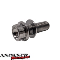 3/8 x 24 TPI x 1in Titanium Bolt with Washer – Independent Motorsports